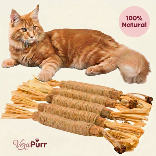 VeraPurr™ Natural Silvervine Chew Sticks — Dental Health