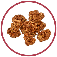 Silvervine gall fruit