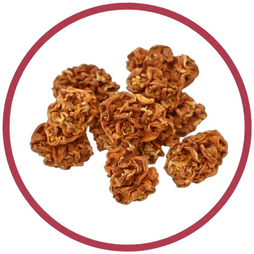 Gall Fruit